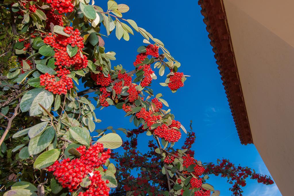 Вилла Tu Casa En Barcelona Сант-Кугат-дель-Вальес Номер фото